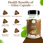 ODON NATURALS Giloy Stem Powder Capsules 120 Count  Ayurvedic Daily Health Booster for Men & Women