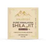 YOGARVEDA Pure Himalayan Shilajit Resin – 20g